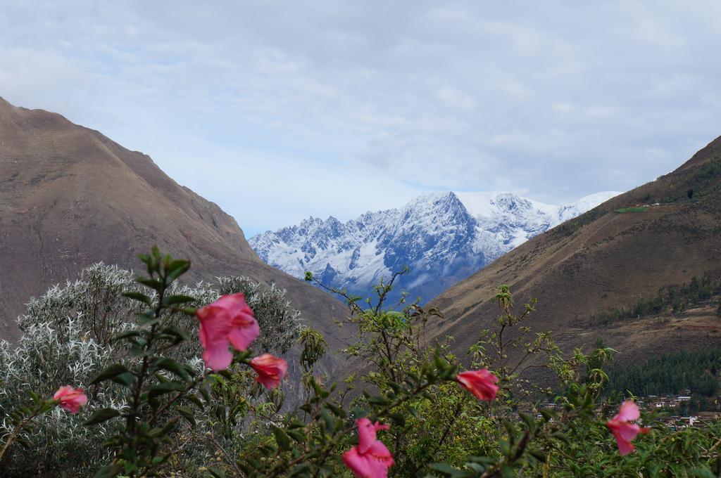 Ccapac Inka Ollanta Casa Museo Hotel Ollantaytambo Eksteriør billede